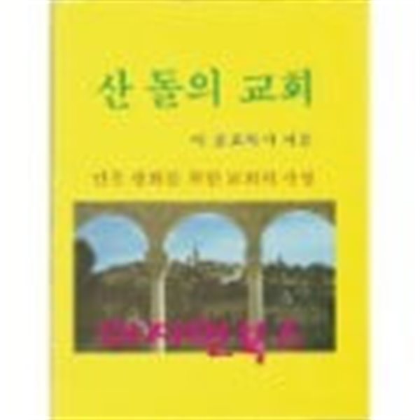 산 돌의 교회(설교집 제4권) : 이중표 목사