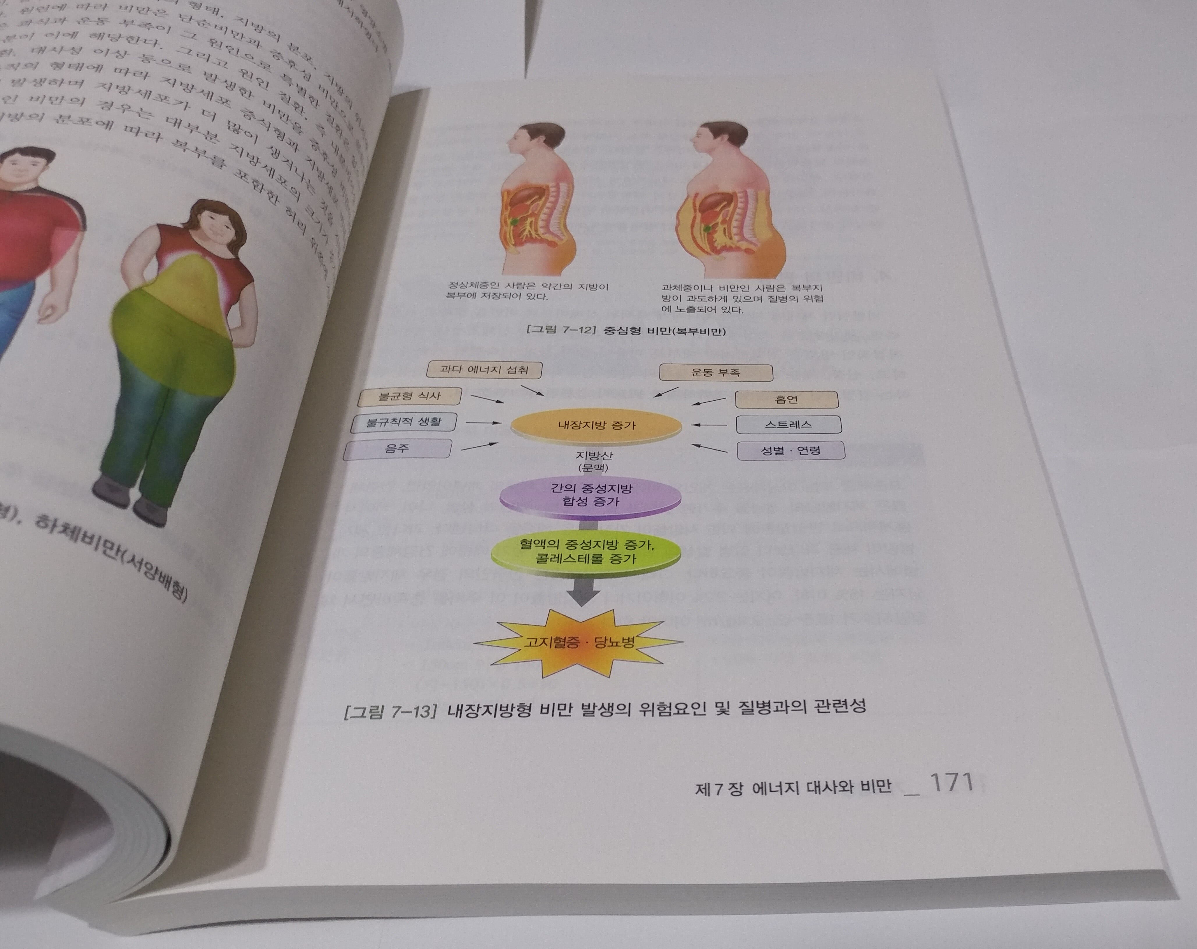 [POD] [큰글자도서] 기초영양학 (워크북 포함)