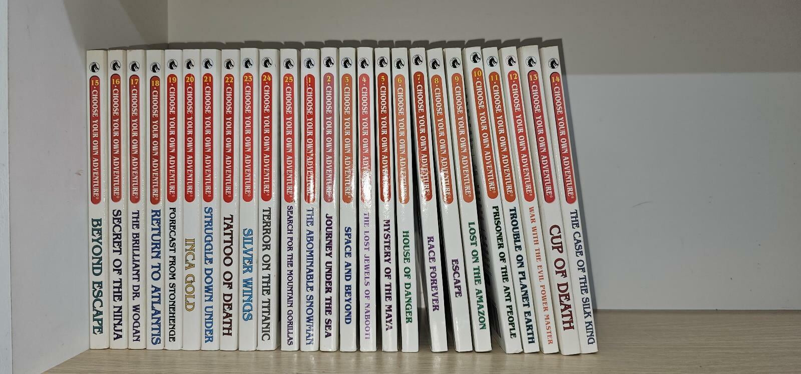 Choose Your Own Adventure 25 Books Set