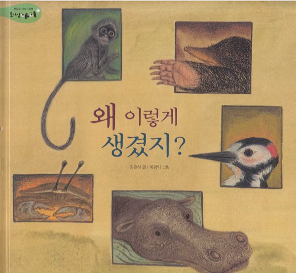 왜 이렇게 생겼지? [개정판]