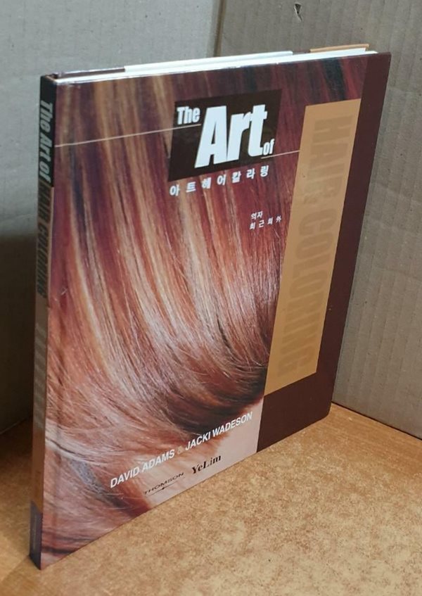 THE ART OF HAIR COLOURING