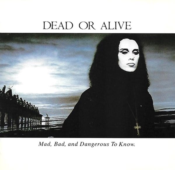 [일본반] Dead Or Alive - Mad Bad &amp; Dangerous To Know (CD)