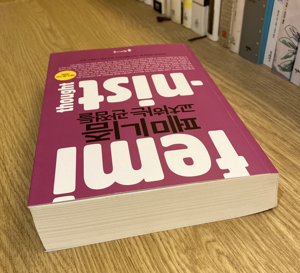 페미니즘 : 교차하는 관점들 큰글씨책