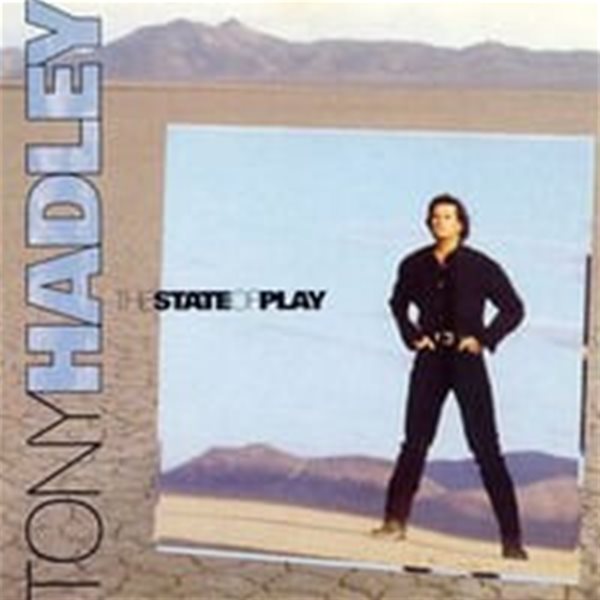 Tony Hadley / The State Of Play (수입)