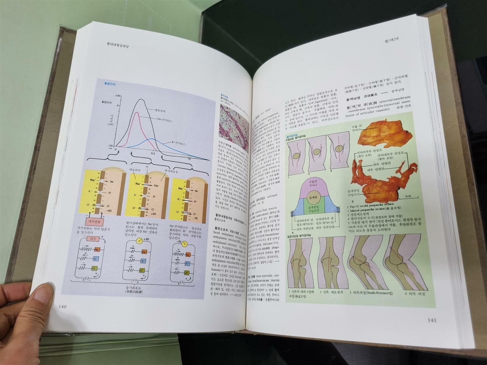 [중고] [학의학][컬러판] 원색최신의료대백과사전 1-22권 전권 세트 -- 상세사진 올림 상급 / 내부 최상