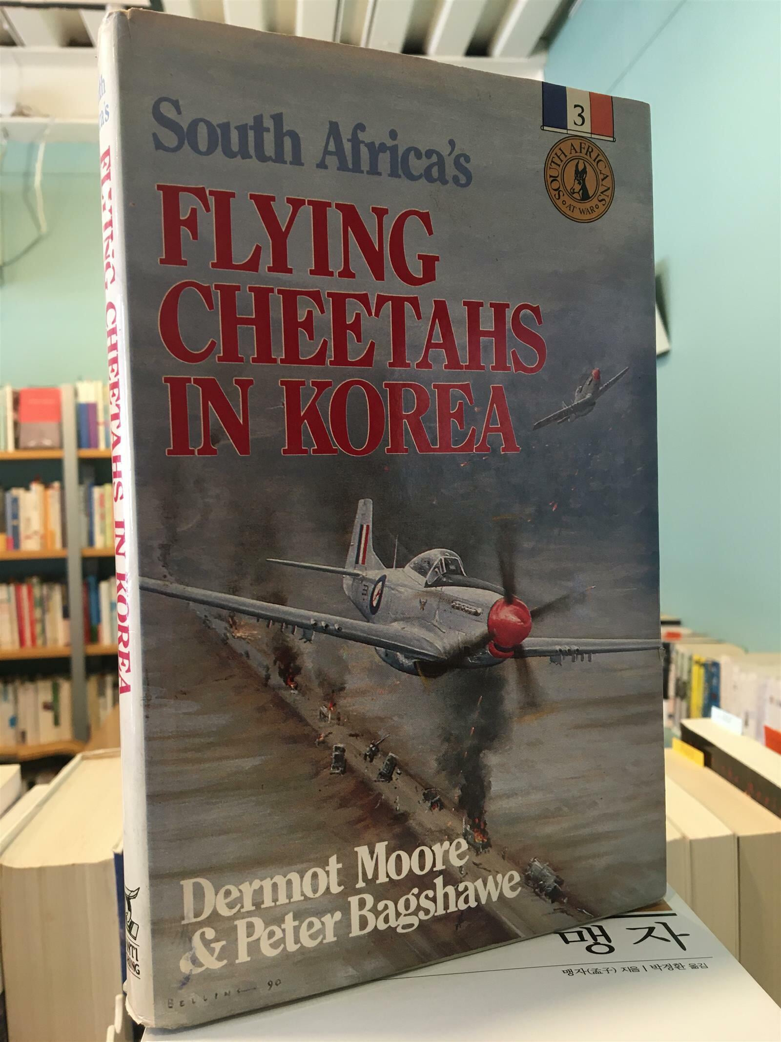 Flying Cheetahs In Korea
