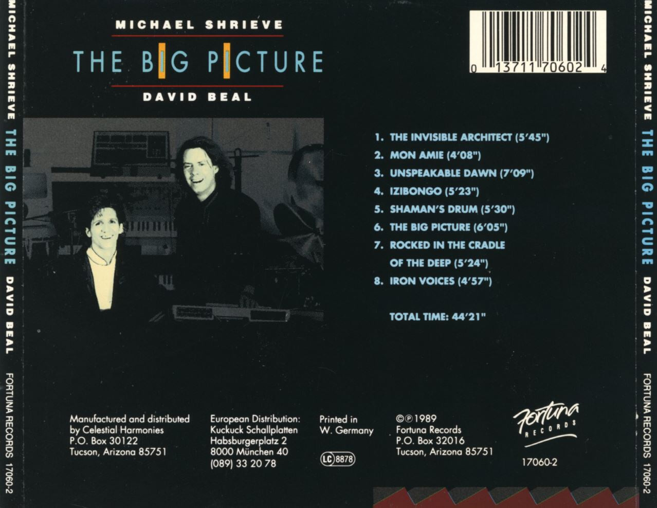 미카엘 쉬리브,데이비드 빌 - Michael Shrieve,David Beal - The Big Picture [U.S발매]