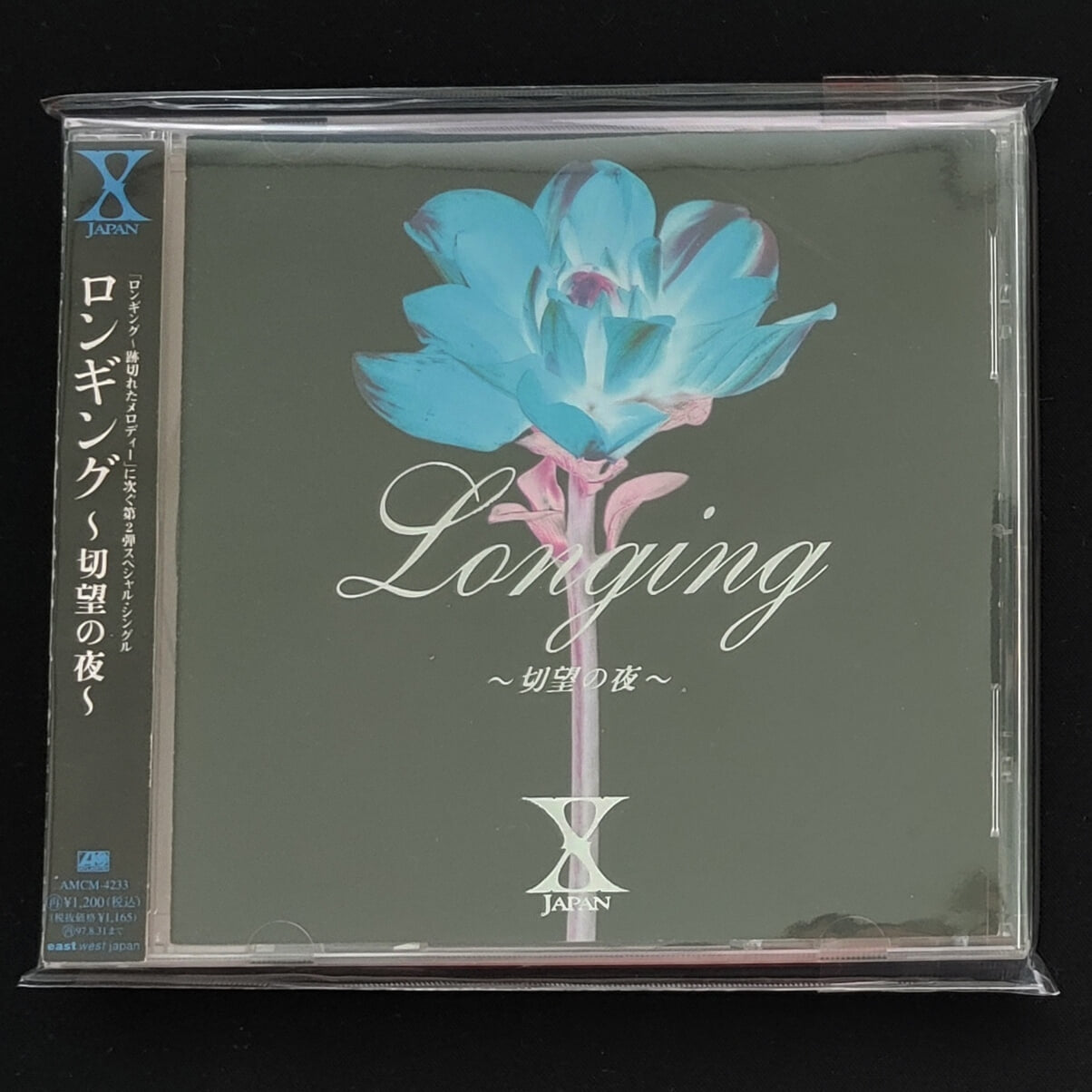 X JAPAN (엑스 재팬) - Longing ~切望の夜~ (절망의 밤)