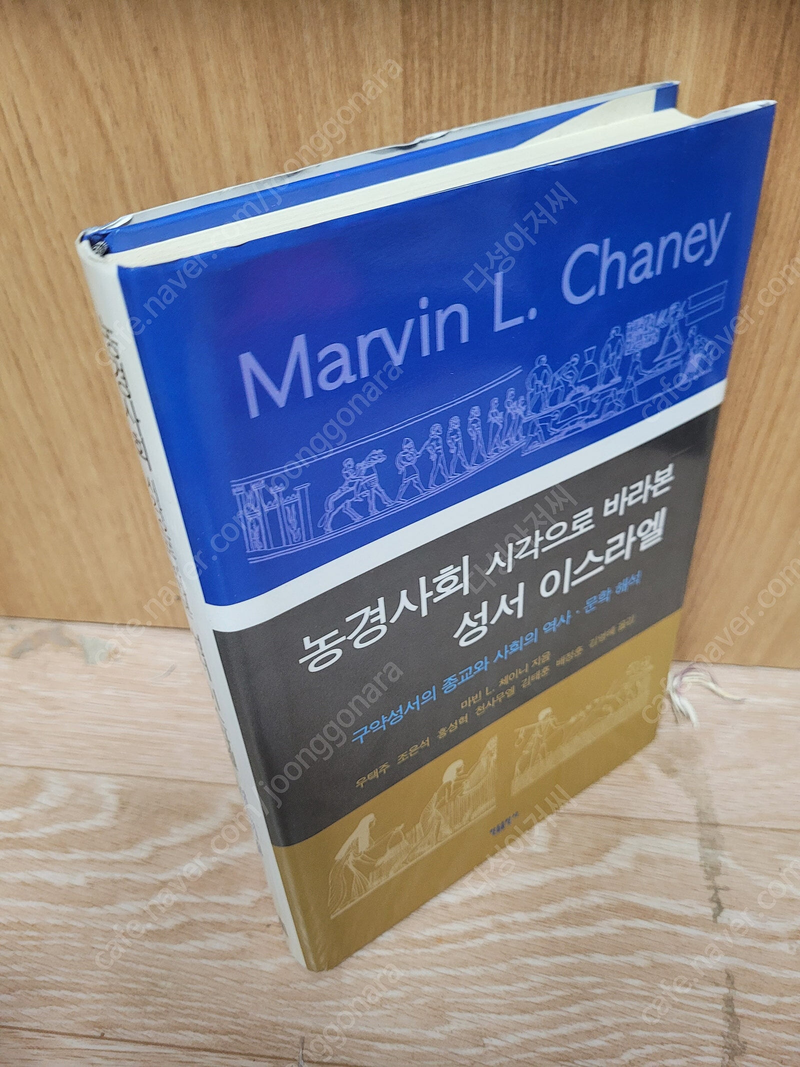 농경사회 시각으로 바라본 이스라엘 (마빈 체이니 저) - 구약성서의 종교와 사회의 역사·문학 해석  /한들출판사 | 2007년2월28/