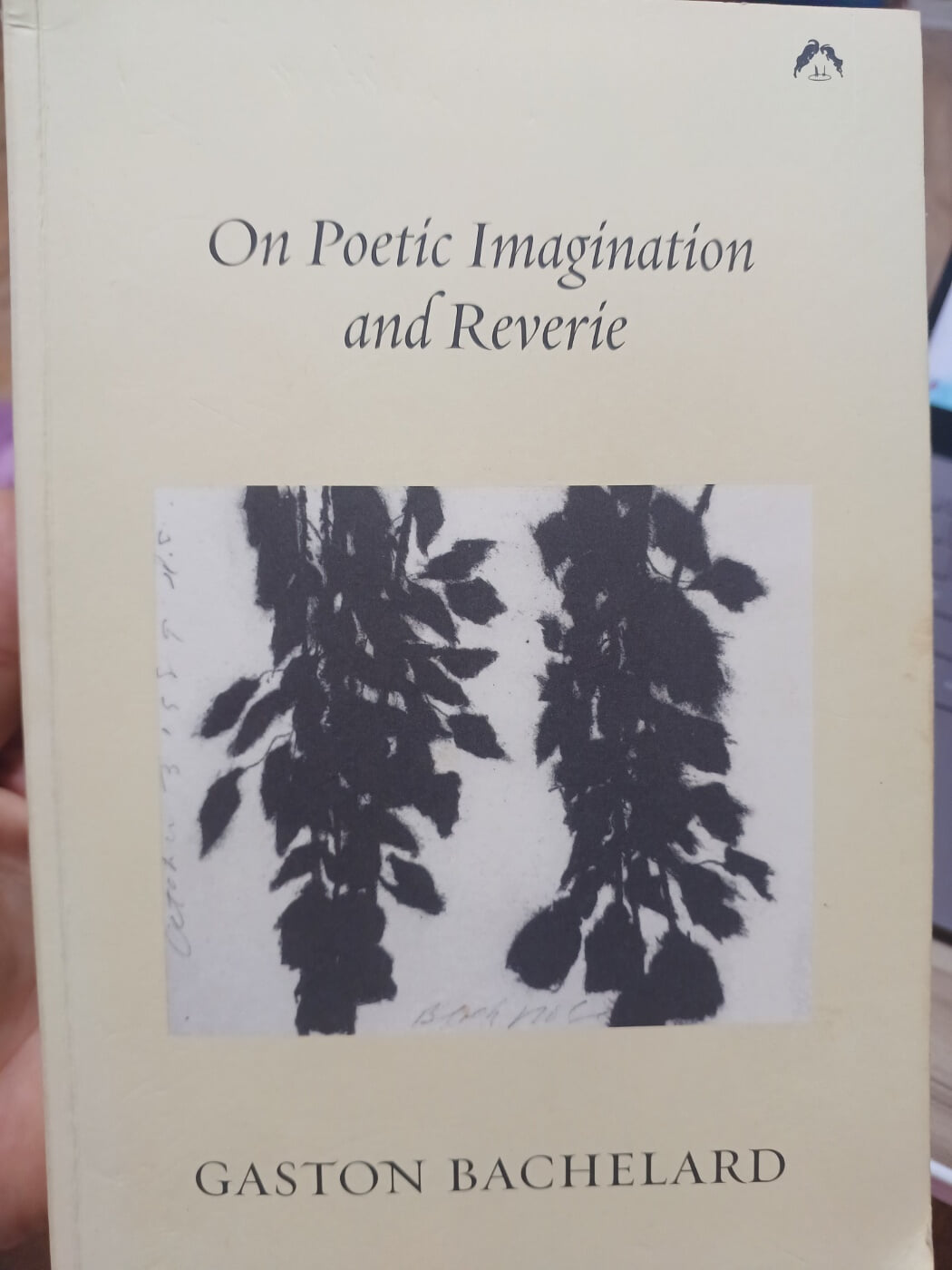 On Poetic Imagination and Reverie