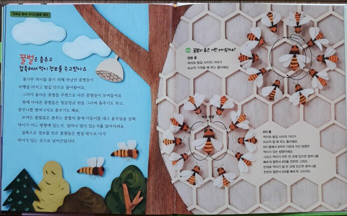 생각이 반짝이는 지식별 개정신판