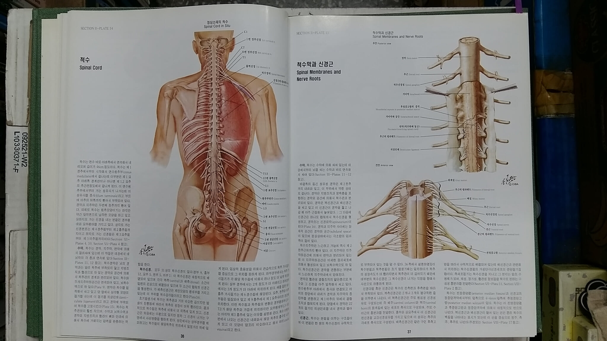 CIBA 원색도해의학총서(총13권중 1권 부족,현12권)