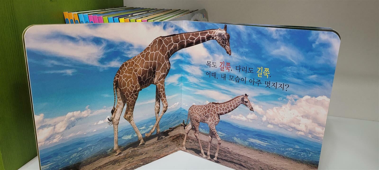 유아보드북 올챙이 자연동화 전 20권(깨끗함/상세사진참조)