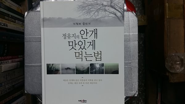 정유지의 안개 맛있게 먹는 법,-기적의 글쓰기-