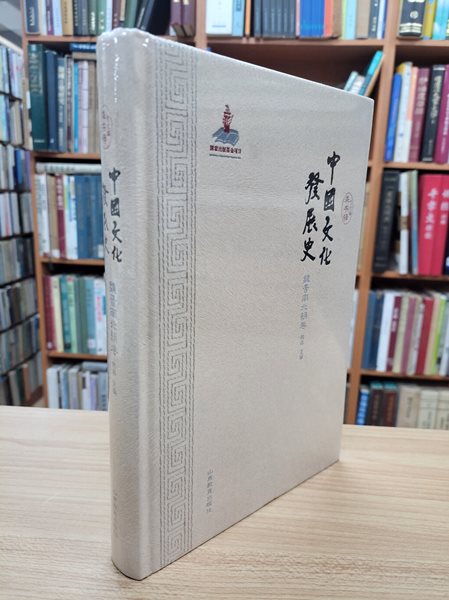 中國文化發展史 魏晉南北朝卷 (중문간체, 2013 초판) 중국문화발전사 우진남북조권