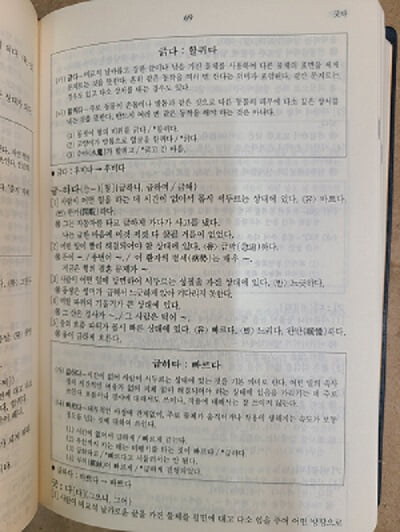 한국어사전 : 서울대 임홍빈 교수의