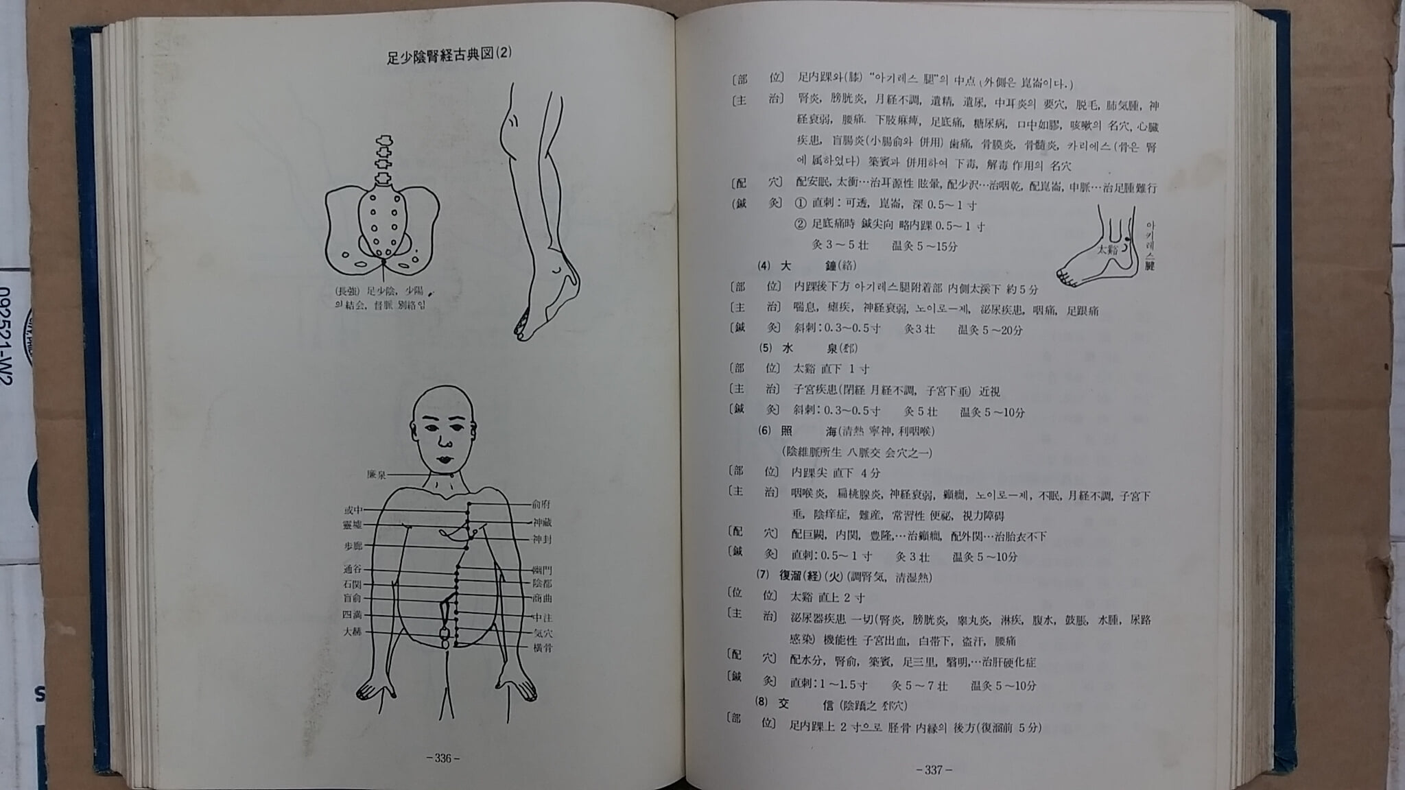 침구의학전론