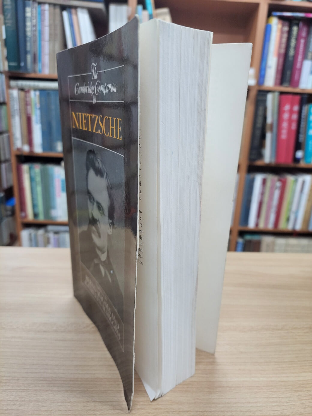 The Cambridge Companion to Nietzsche (Paperback) 