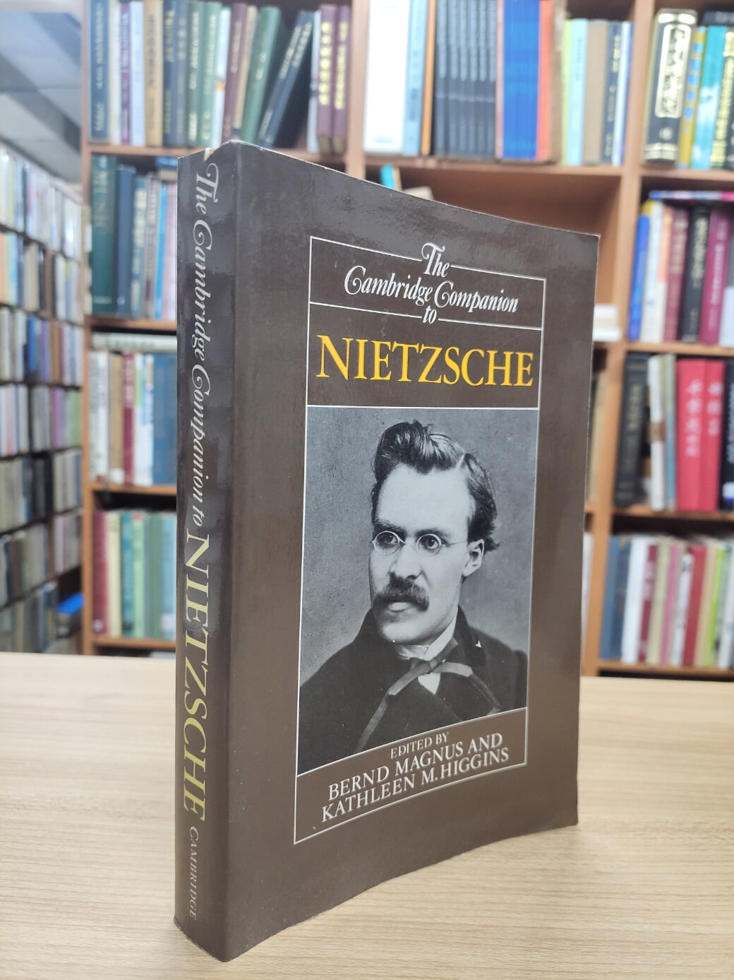 The Cambridge Companion to Nietzsche (Paperback) 