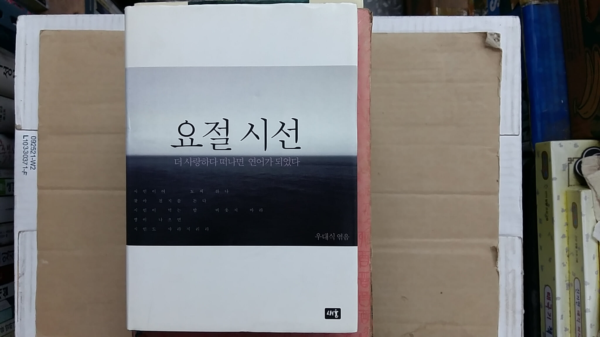 요절 시선,-더 사랑하다 떠나면 연어가 되었다-