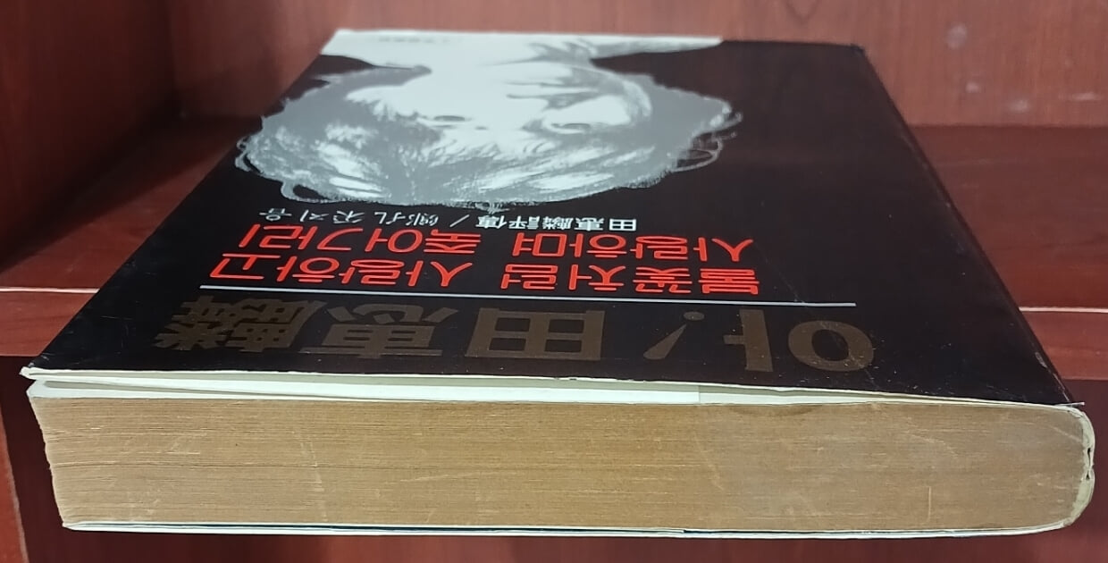 아! 전혜린 - 불꽃처럼 사랑하고 사랑하며 죽어가리 | 문학예술사 | 1982년 10월 초판