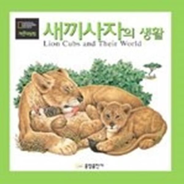 새끼사자의 생활 - 팝업북