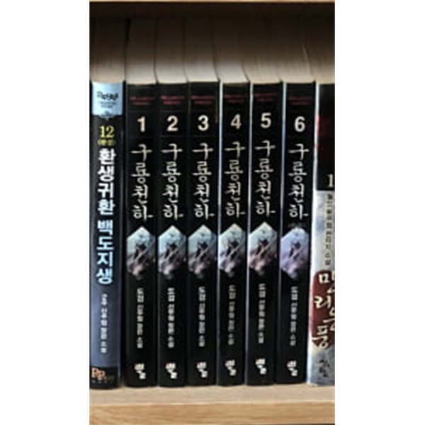 구룡천하 1-6 완결 ★☆ 도검 신무협 판타지소설