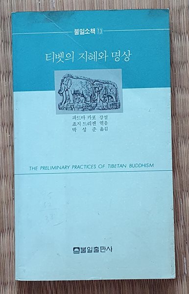 티벳의 지혜와 명상  (문고본)