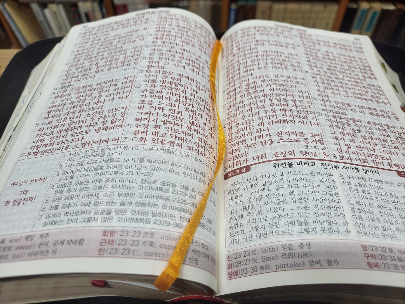 VIP 큰성경 해설찬송 (The VIP Big Bible) (대 / 합본 / 지퍼 / 반달색인 / 측면금박) 