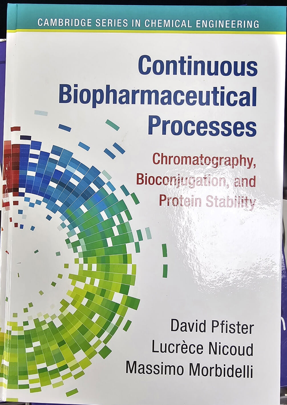 Continuous Biopharmaceutical Processes: Chromatography, Bioconjugation, and Protein Stability