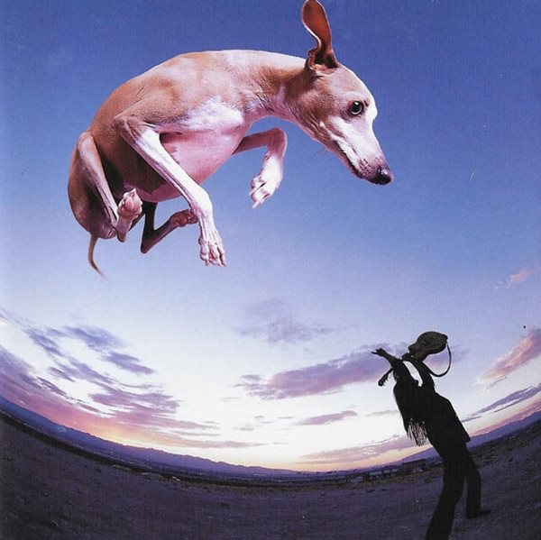 [일본반] Paul Gilbert - Flying Dog (Bonus Mini CD) Limited Edition