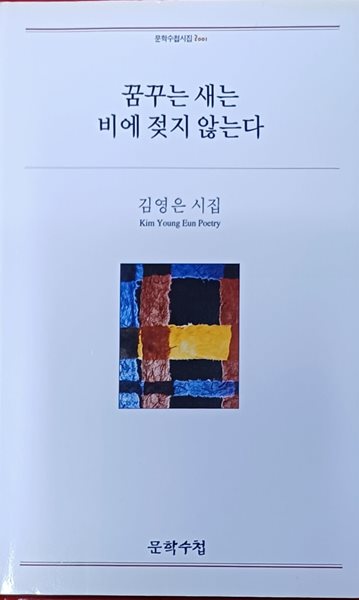 꿈꾸는 새는 비에 젖지 않는다 (김영은 /2011 (초)/143쪽/문학수첩)