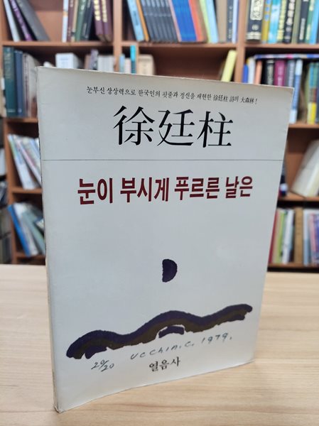 눈이 부시게 푸르른 날은 (열음사 한국의 시인 3) (1985 초판)