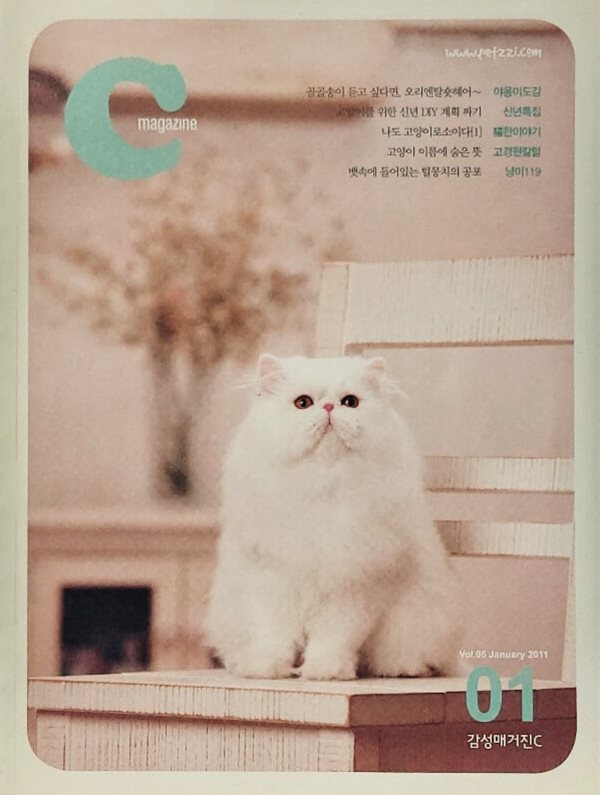 감성매거진 C (2011.01 Vol. 06)