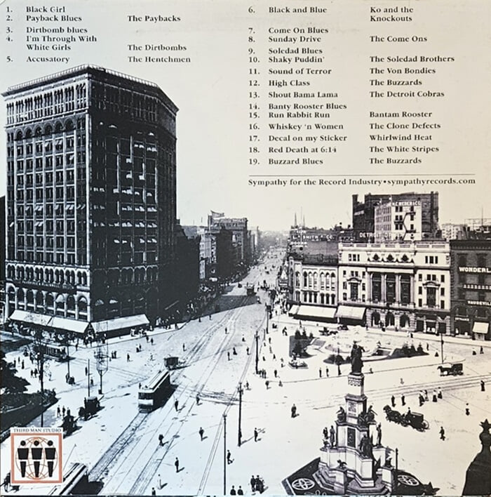 [LP] Various Artists - Sympathetic Sounds Of Detroit  수입