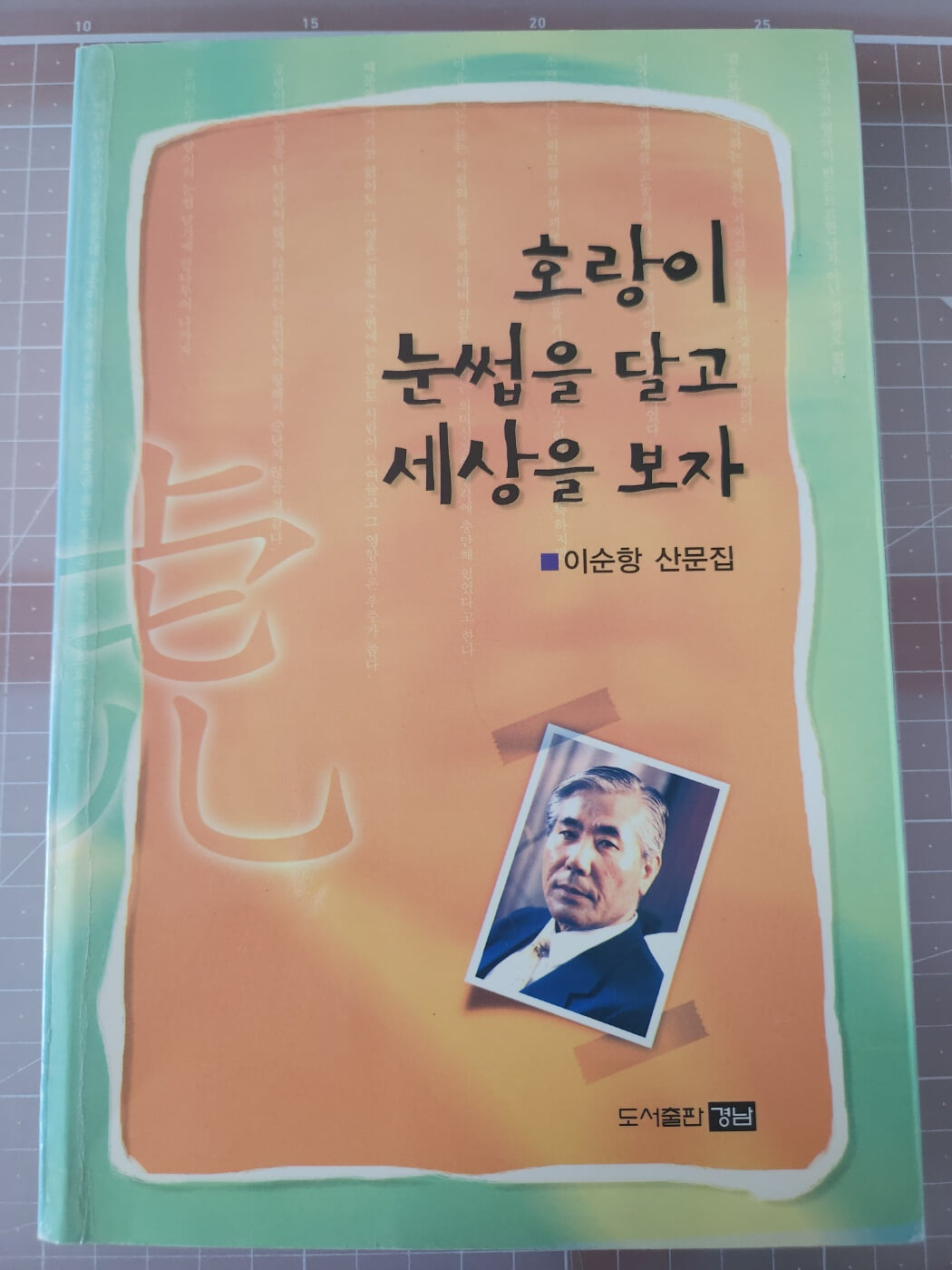 호랑이 눈썹을 달고 세상을 보자