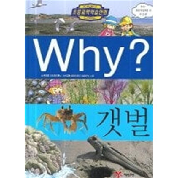 Why? 갯벌