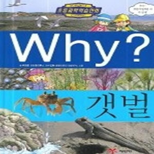 Why? 갯벌