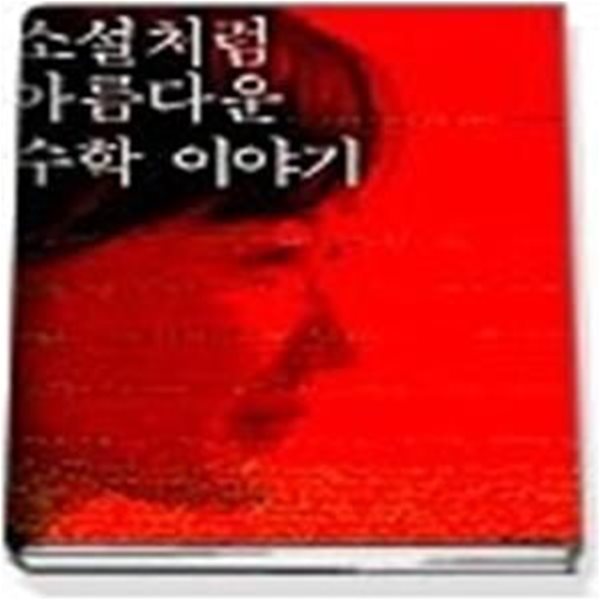 소설처럼 아름다운 수학이야기