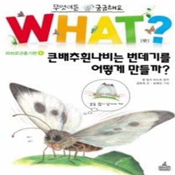 WHAT왓? 큰배추흰나비는 번데기를 어떻게 만들까?