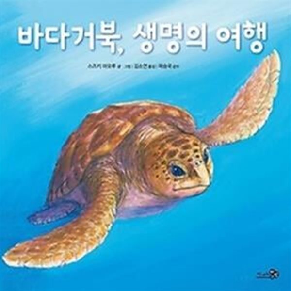 바다거북, 생명의 여행