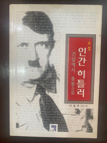 소설 인간 히틀러 : 건달에서 총통으로