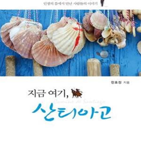 지금 여기, 산티아고 (40일간의 산티아고 걷기여행 인생의 틈에서 만난 사람들의 이야기)