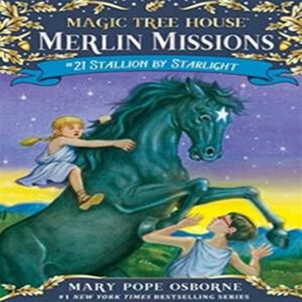 Merlin Mission #21 : Stallion by Starlight