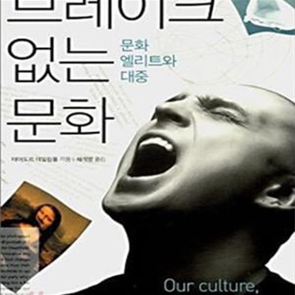 브레이크 없는 문화 (문화 엘리트와 대중)