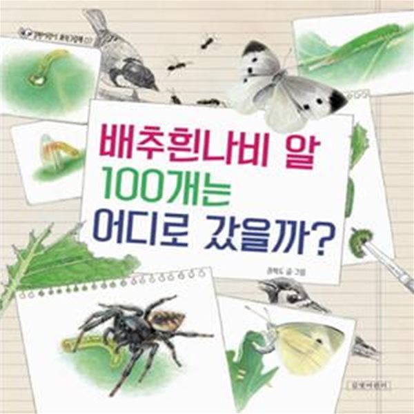 배추흰나비 알 100개는 어디로 갔을까?