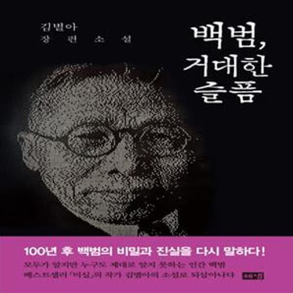 백범, 거대한 슬픔 (김별아 장편소설)