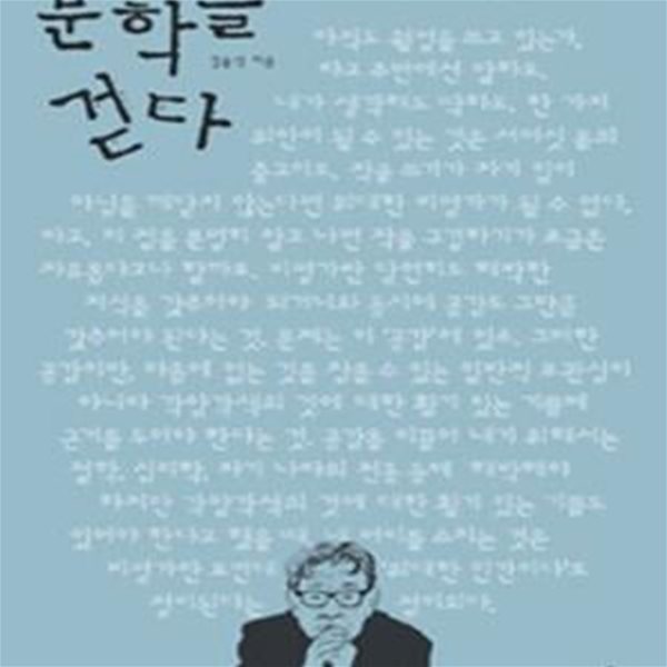 문학을 걷다 (김윤식이 만난 문학 이야기)