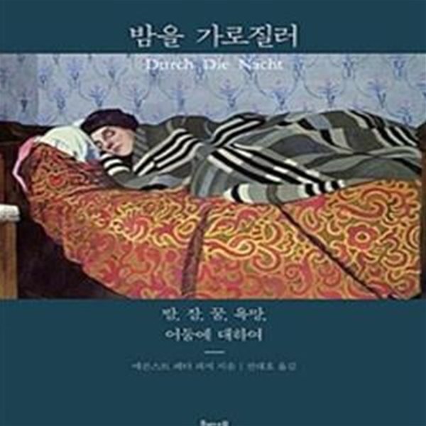 밤을 가로질러 (밤, 잠, 꿈, 욕망, 어둠에 대하여)