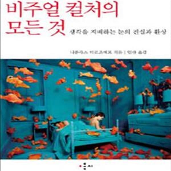 비주얼 컬처의 모든 것 (생각을 지배하는 눈의 진실과 환상)